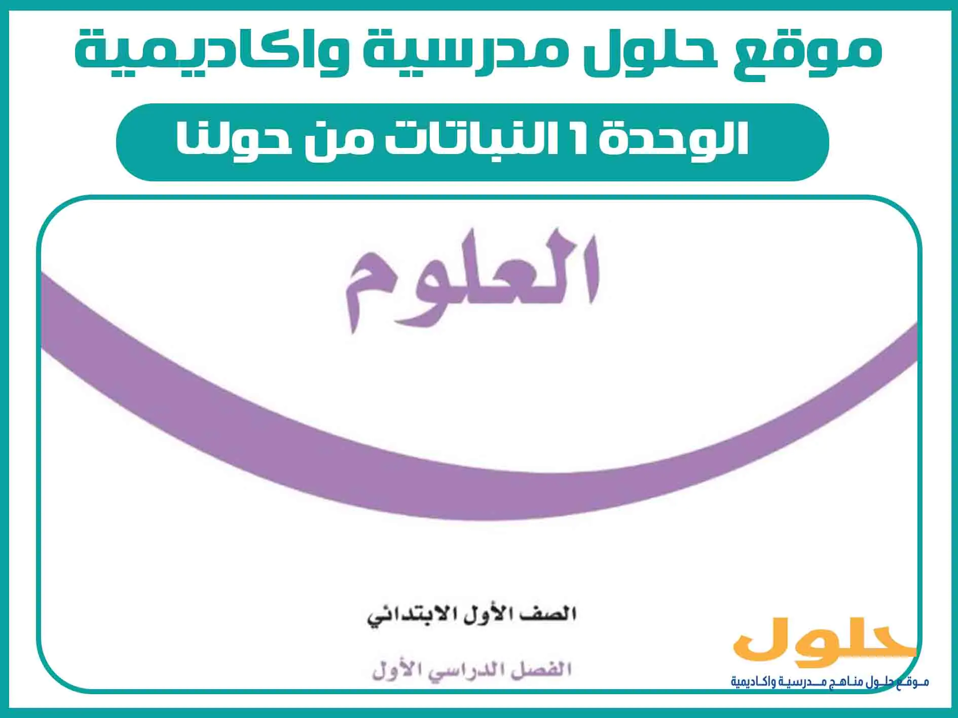 شرح الوحدة 1 النباتات من حولنا اول ابتدائي الفصل الاول المنهج السعودي